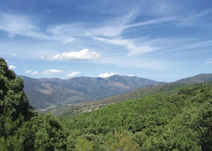 Gorgeous In Di Rostino